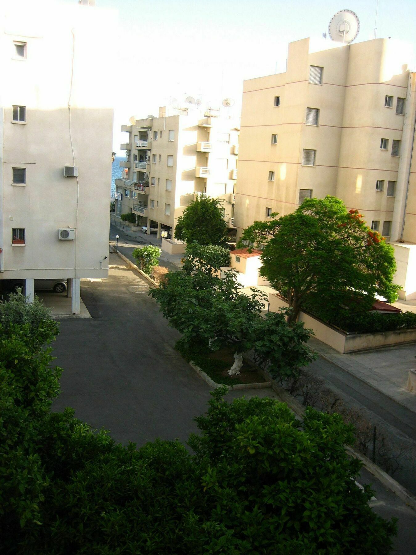 Green Valley Modern Studio ليماسول المظهر الخارجي الصورة